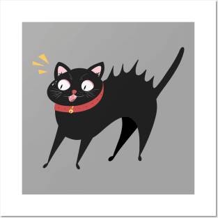 Spooked Cat Posters and Art